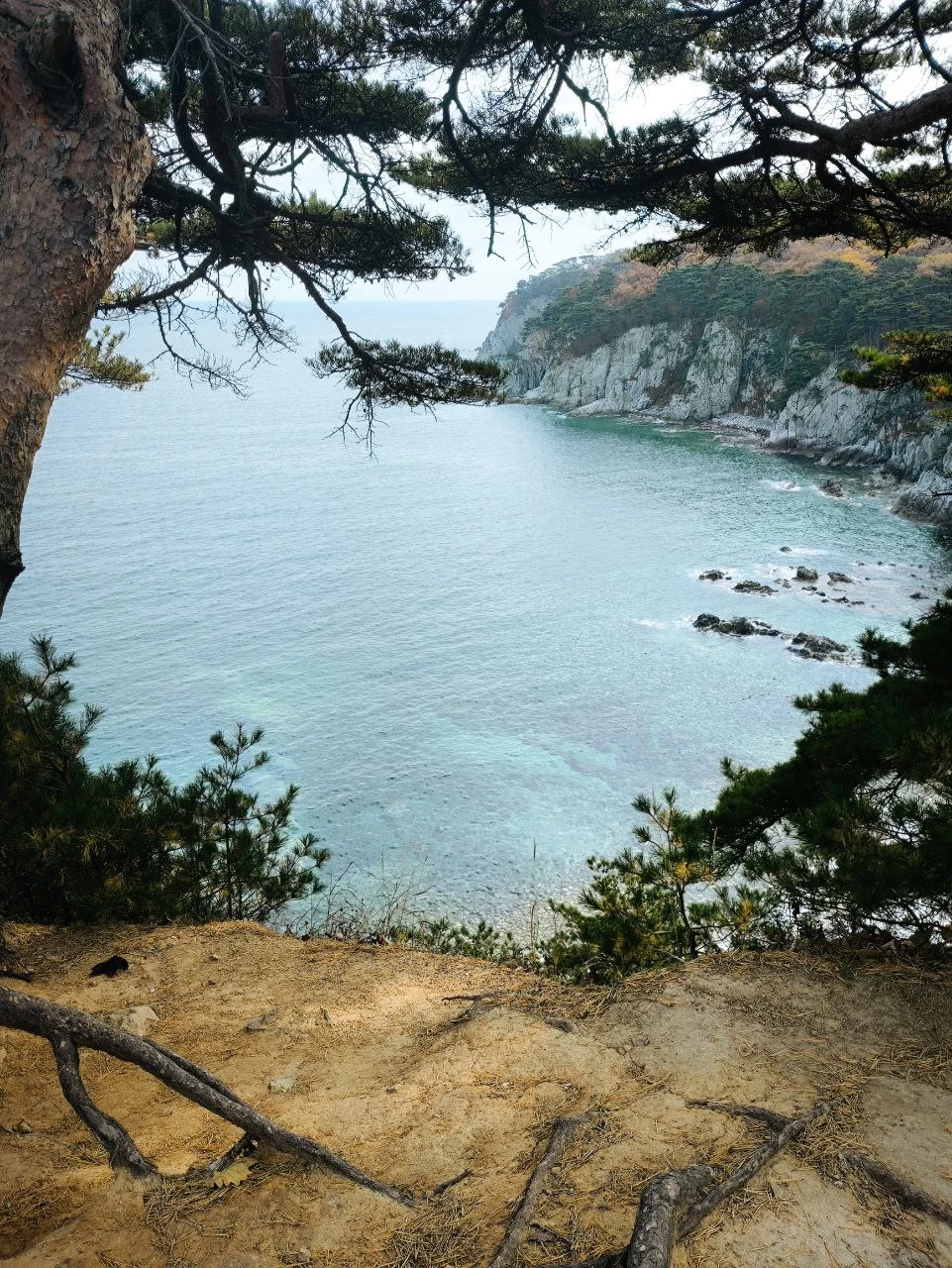 Очень понравился полуостров в осенних красках! Гид Илья лучший, свое дело знает и очень им болеет