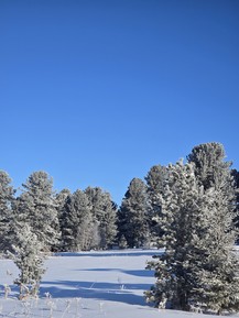 Фото отзыва 3: экскурсия ""