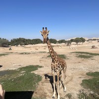 Фото отзыва 1: экскурсия "Из Абу-Даби — в Аль-Айн"