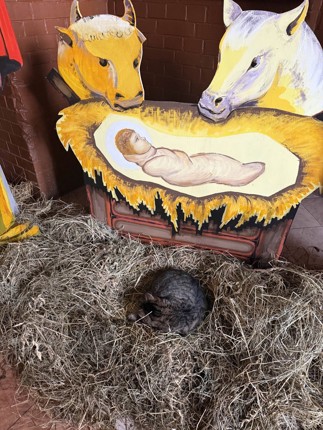 «Идём на восток!»: из Калининграда - в земли Восточной Пруссии (Родионова)