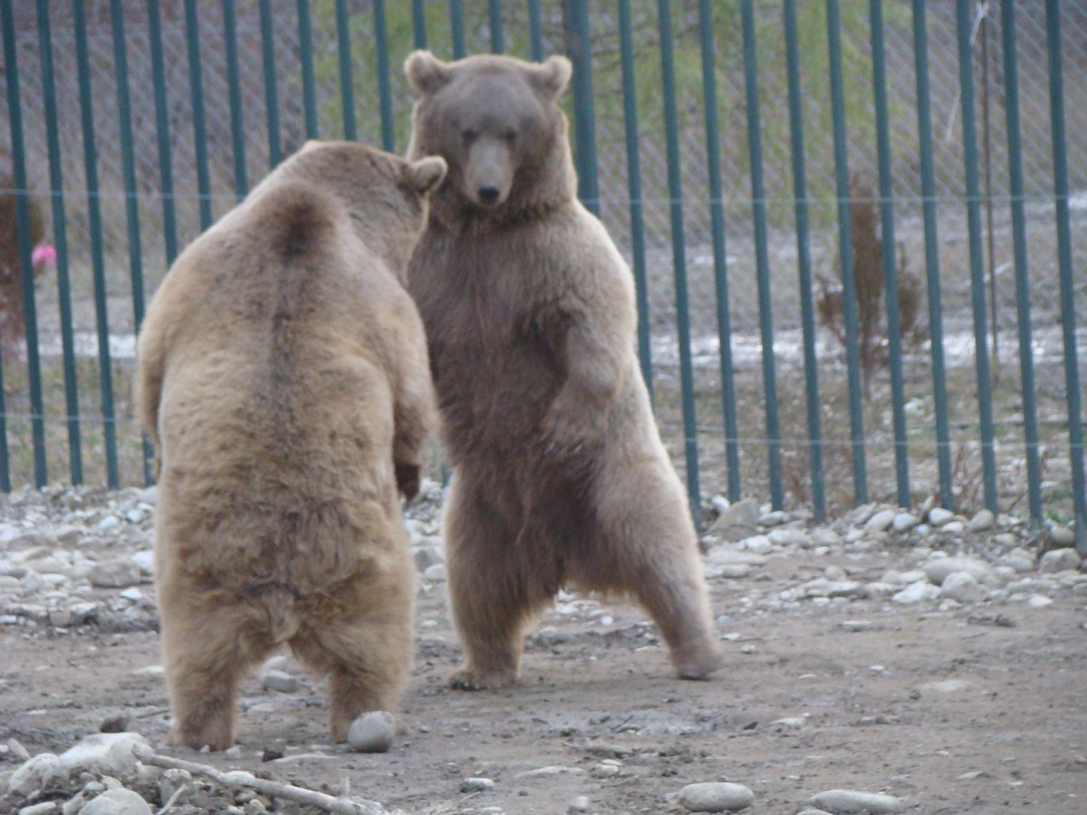 Тианети: открыть малоизвестную Грузию (6/7)