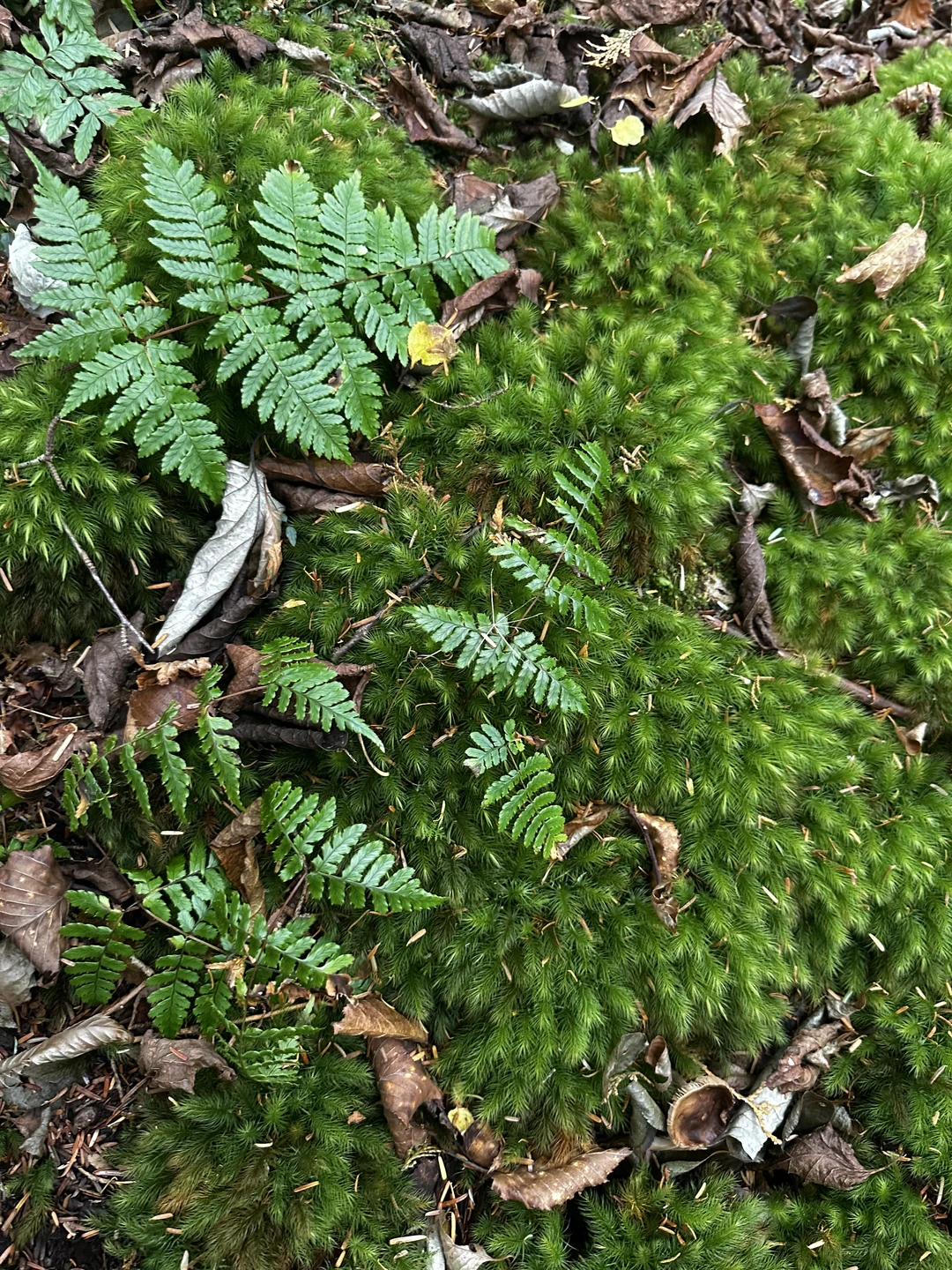 С погодой нам не повезло - с утра она была хорошая, но, не успели мы доехать