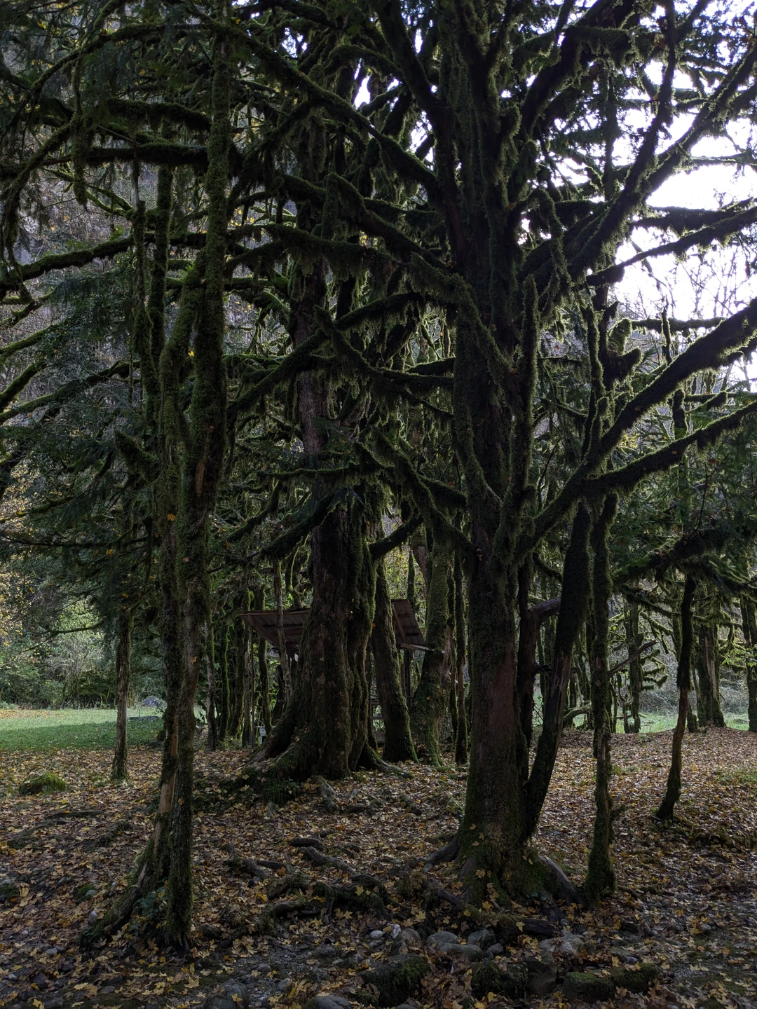 Спасибо за яркую экскурсию по красивым местам! Много интересной информации, шикарный автомобиль, классные кадры. Адгур не