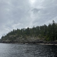 reviews img