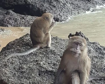 Остров Ко Пханак