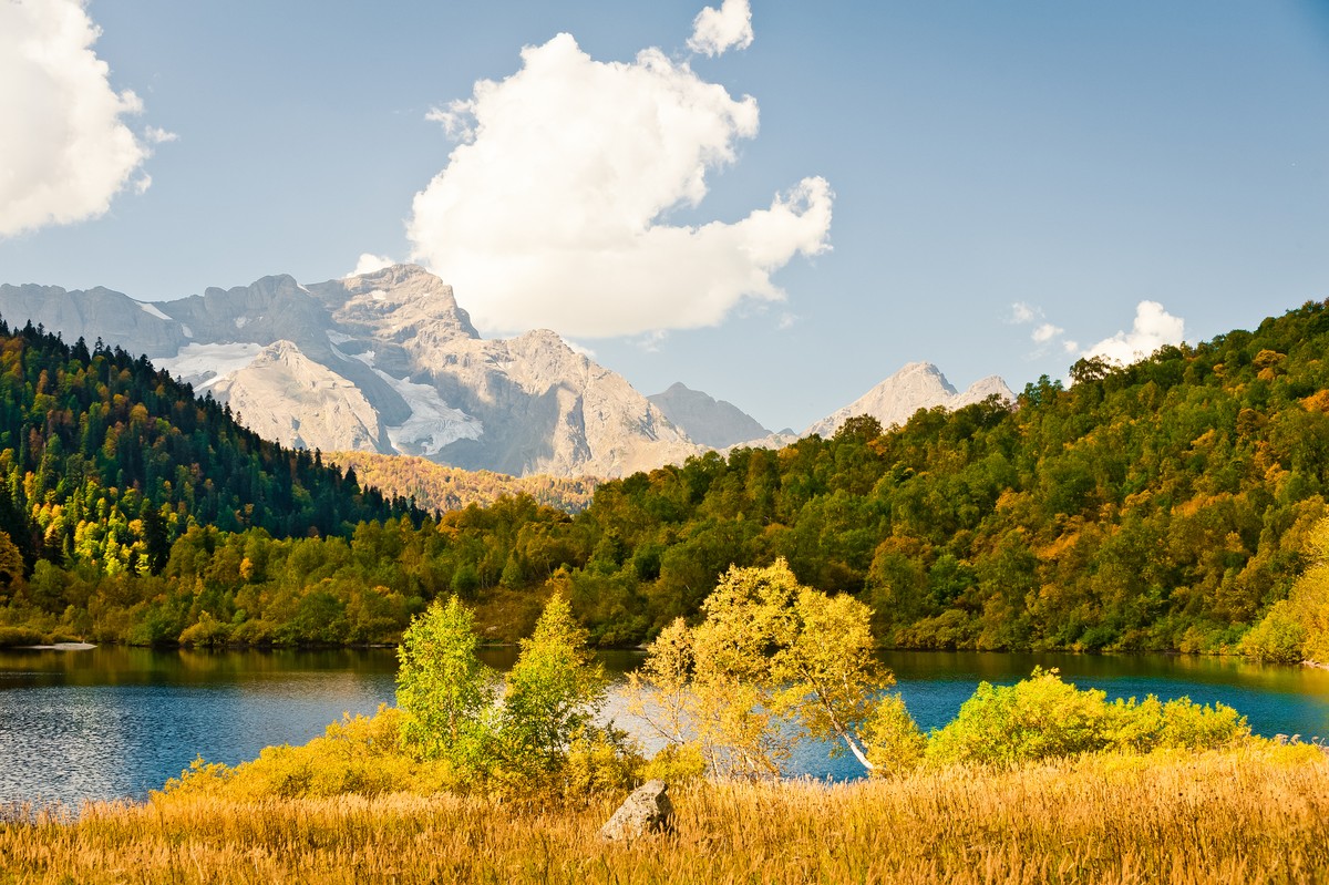 Конные прогулки в Красной Поляне (2/15)
