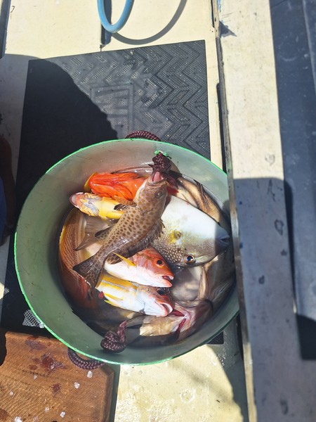 Всё прошло замечательно, трансфер вовремя, встретили и сопроводили на корабль, всё организовано и без задержек. Команда