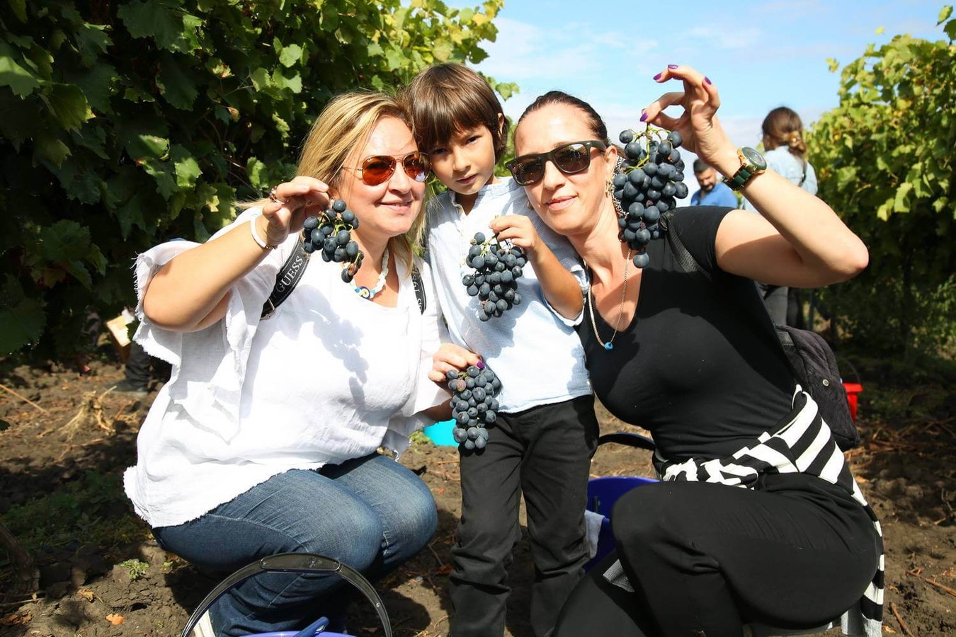 Время собирать виноград: в Грузию на праздник Ртвели (11/15)