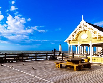 Неспешные прогулки по Зеленоградску: архитектура, море, кошки