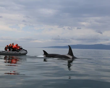 Бухта Онгачан: лёгкий хайкинг или морская прогулка