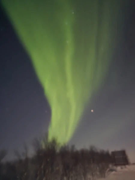 В погоню за полярным сиянием (Лев)