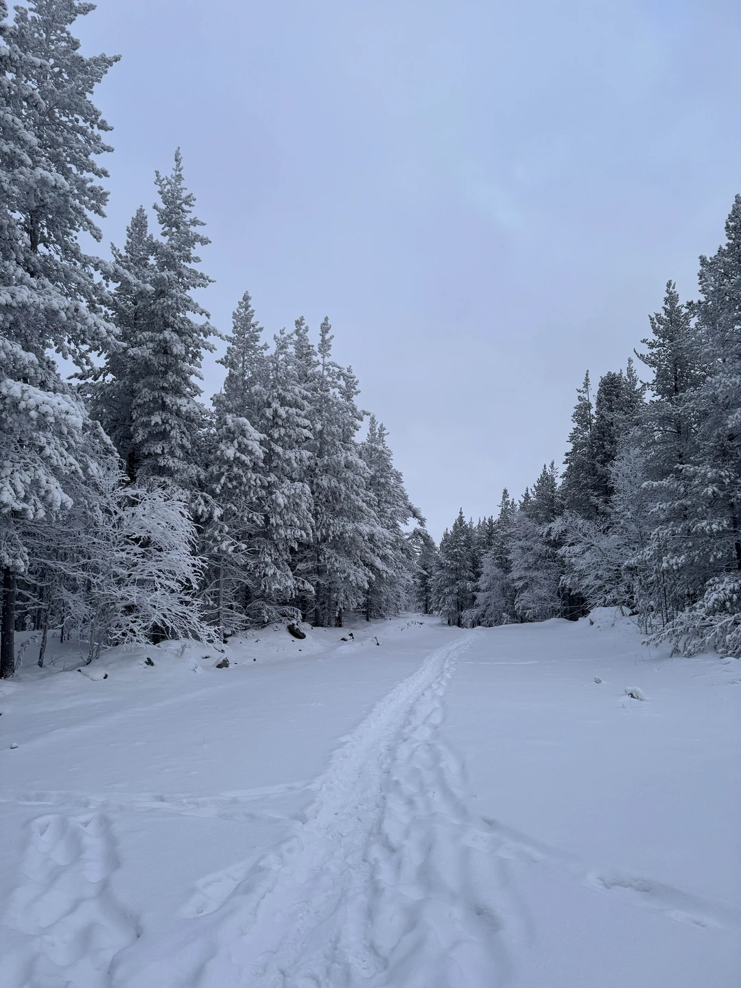 Если мечтаете увидеть северную сказку — идите с этим гидом - Александр! ⛰️ Он знает, где