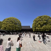 Фото отзыва 6: экскурсия "Первый день в&nbsp;Токио: обзорная экскурсия с&nbsp;фотосессией"