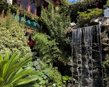 Район Чибао, чайная церемония, телебашня и круиз по Хуанпу