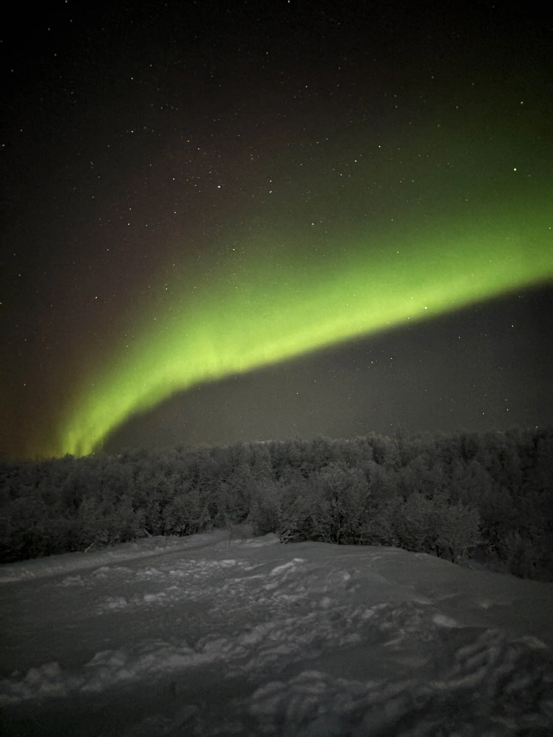 Нашим гидом был Леонид - очень позитивный человек, много шутит, поддерживает разговор, и умеет классно фотографировать