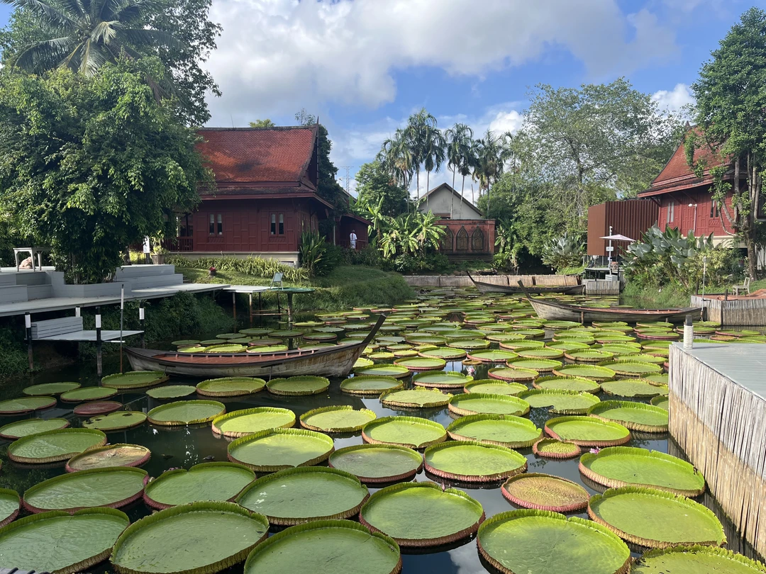 Отличная экскурсия, смело заказывайте ее