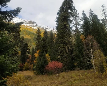 Мусса-Ачитара, Гоначхирское ущелье и переезд в Архыз