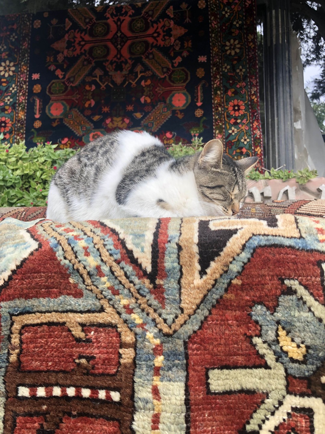 Прекрасный гид со знанием города, истории, чувством юмора и пониманием людей