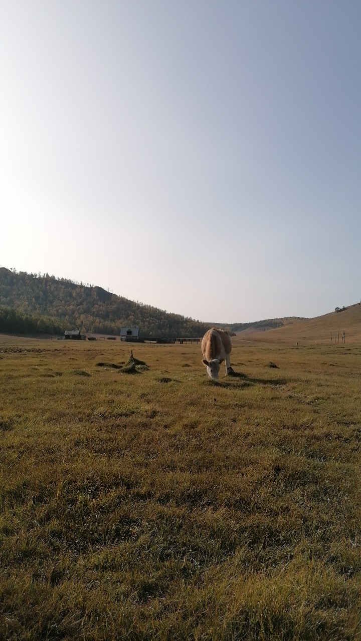 Путешествие на джипе по северу острова Ольхон (Екатерина)