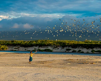 Встреча, релакс в термах и отдых на пляже Итурупа