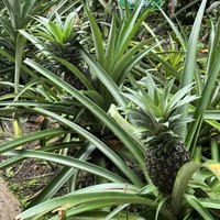 Фото отзыва 1: экскурсия "Бали, который вы ждёте!"