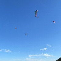reviews img