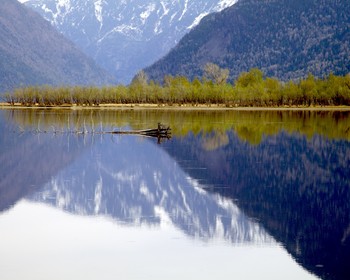 Каменные грибы и путь к югу Телецкого озера