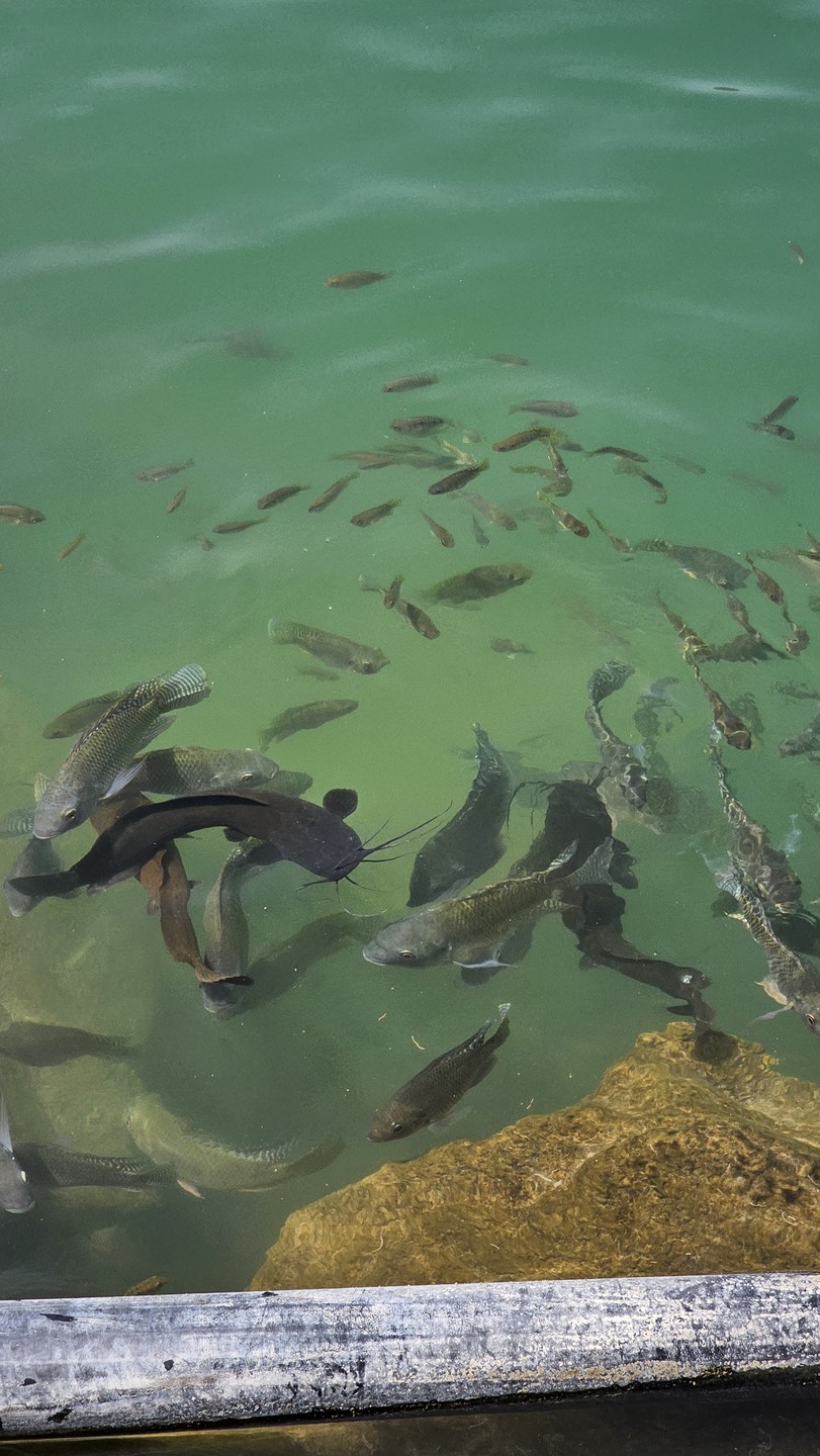 Экскурсия оставила двоякое впечатление, в целом я не жалею, что съездил по данному маршруту, однако были