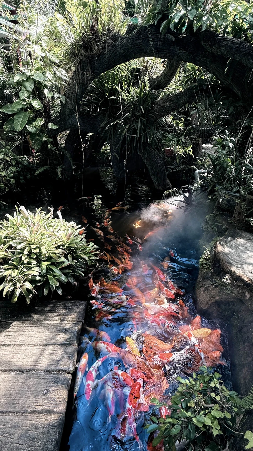 К водопадам острова Орхидей - из Нячанга (всё включено) (Ольга)