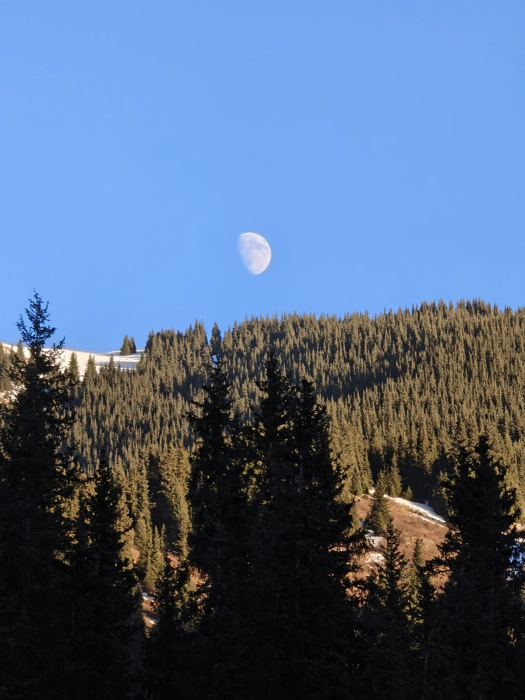 Водитель - Ореке