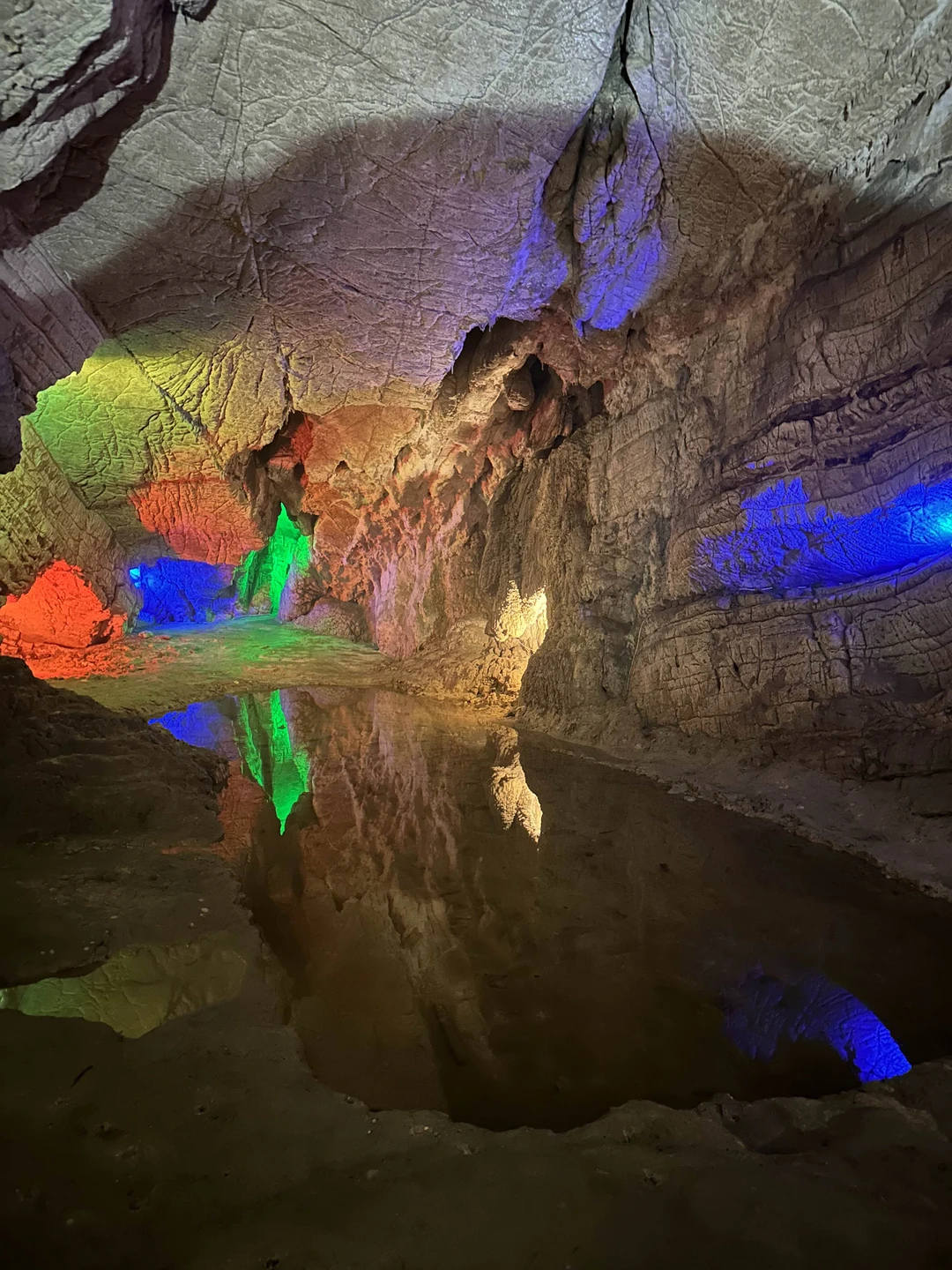 Экскурсия очень разнообразная. Погуляли по волшебному самшитовому лесу, залезли на руины, нафотографировались на чайных плантациях, попробовали