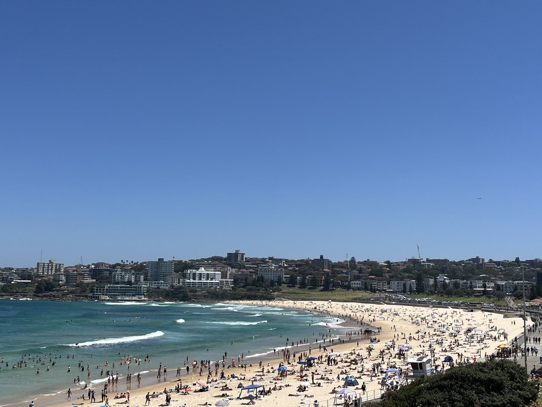 После этой экскурсии хочеться остаться в Сиднее навсегда! Гид - профессионал, маршрут посторонних замечательно, машина удобная