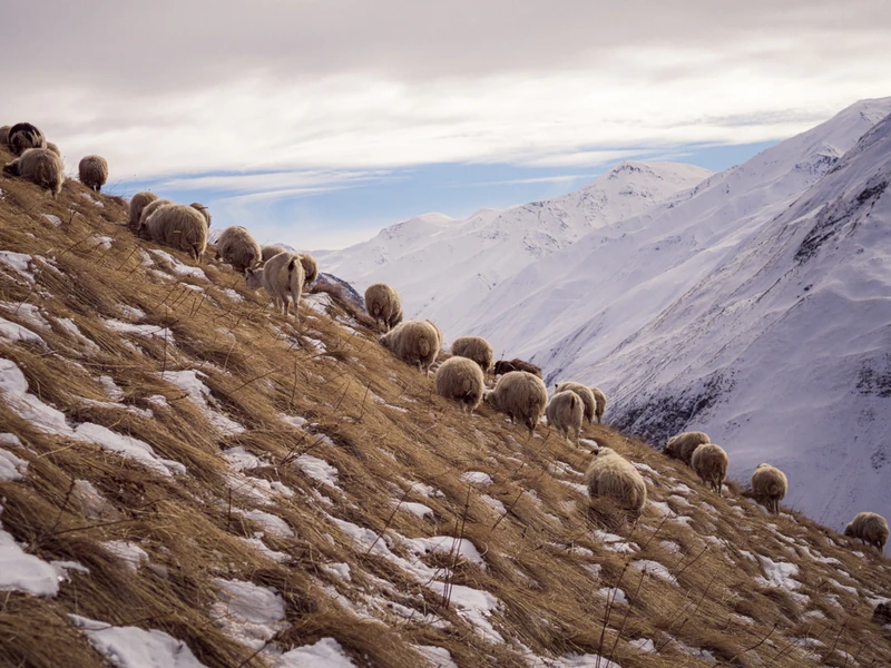 Магический Дагестан глазами горца: путешествие с мастер-классом и активностями (всё включено)