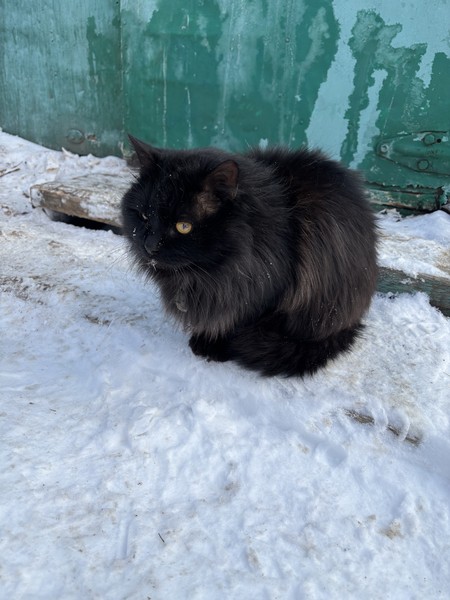 Это была потрясающая экскурсия! Владемир — не просто гид, а невероятно душевный человек, который умеет зажечь