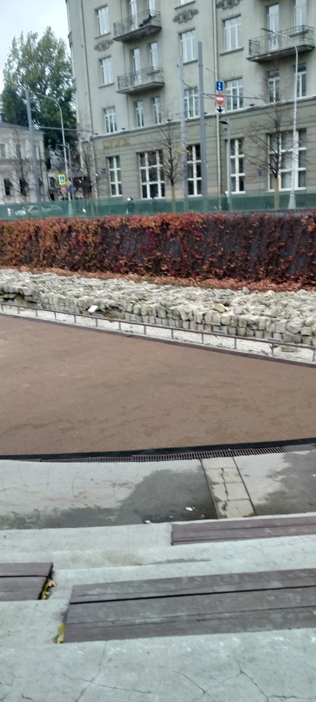 Огородная Слобода и Чистые пруды: истории и судьбы (Татьяна)