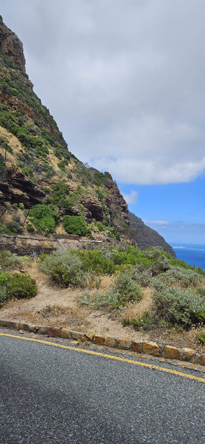 В ноябре 2024 года у нас с супругой была замечательная возможность отправиться в ЮАР с Натальей, и это путешествие оставило самые теплые воспоминания