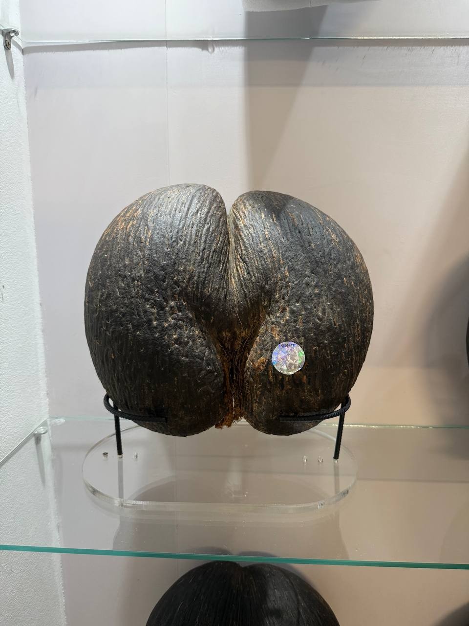 От всей души советую данную экскурсию и огромная благодарность Кате за то, что нам её провела!