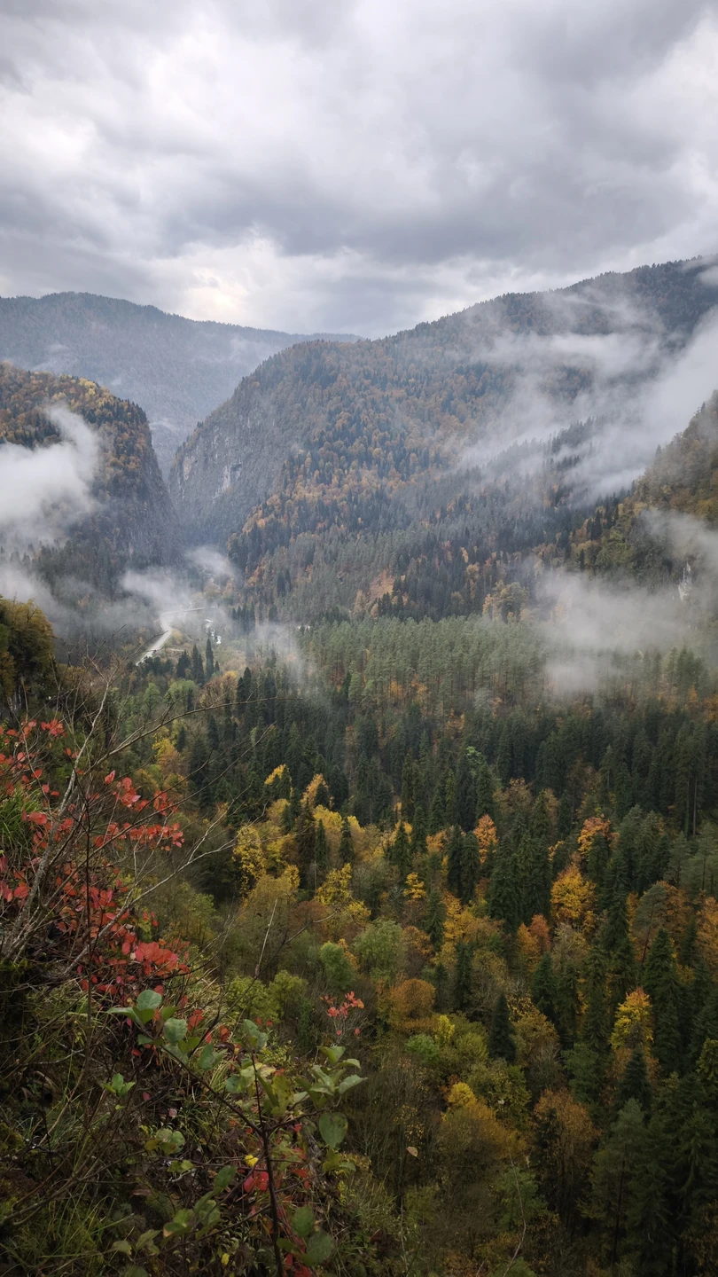 Мой первый опыт на tripster. Не люблю организованные экскурсии, но хотелось совместить переезд от границы до