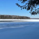 Олеся
