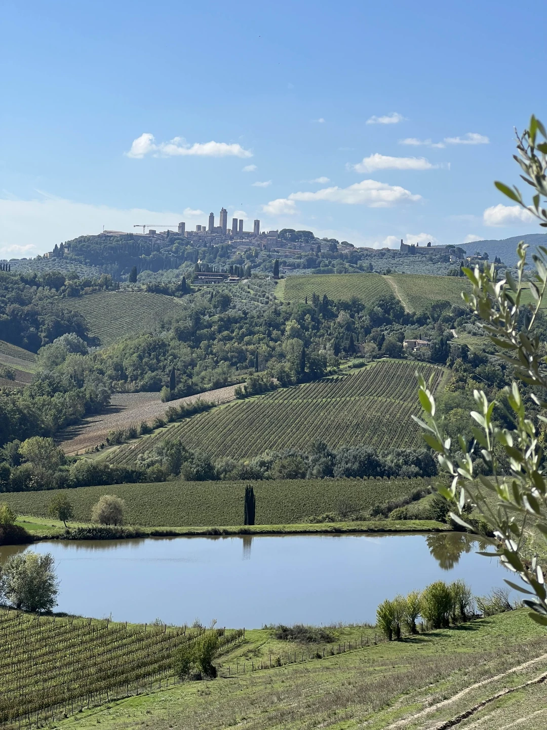 Великолепная экскурсия от Татьяны по Тоскане, которую мы точно с теплотой будем вспоминать еще очень долго