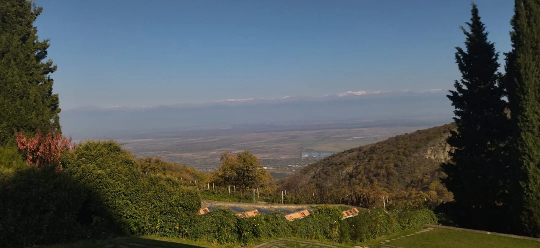 Нашим экскурсоводом был Владимир. Человек грамотный, профессиональный рассказчик, увлеченный историей Грузией. Экскурсия прошла на одном дыхании