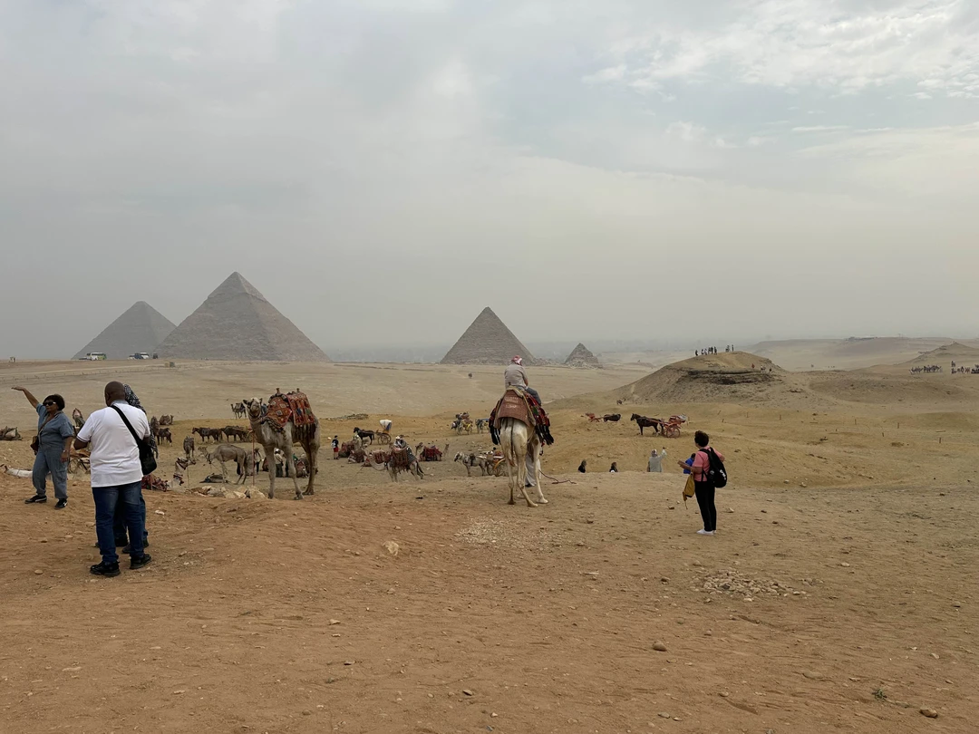 Прекрасно организована и проведена экскурсия! Махмуд заранее связался с нами и мы обсудили программу. Он подстроился