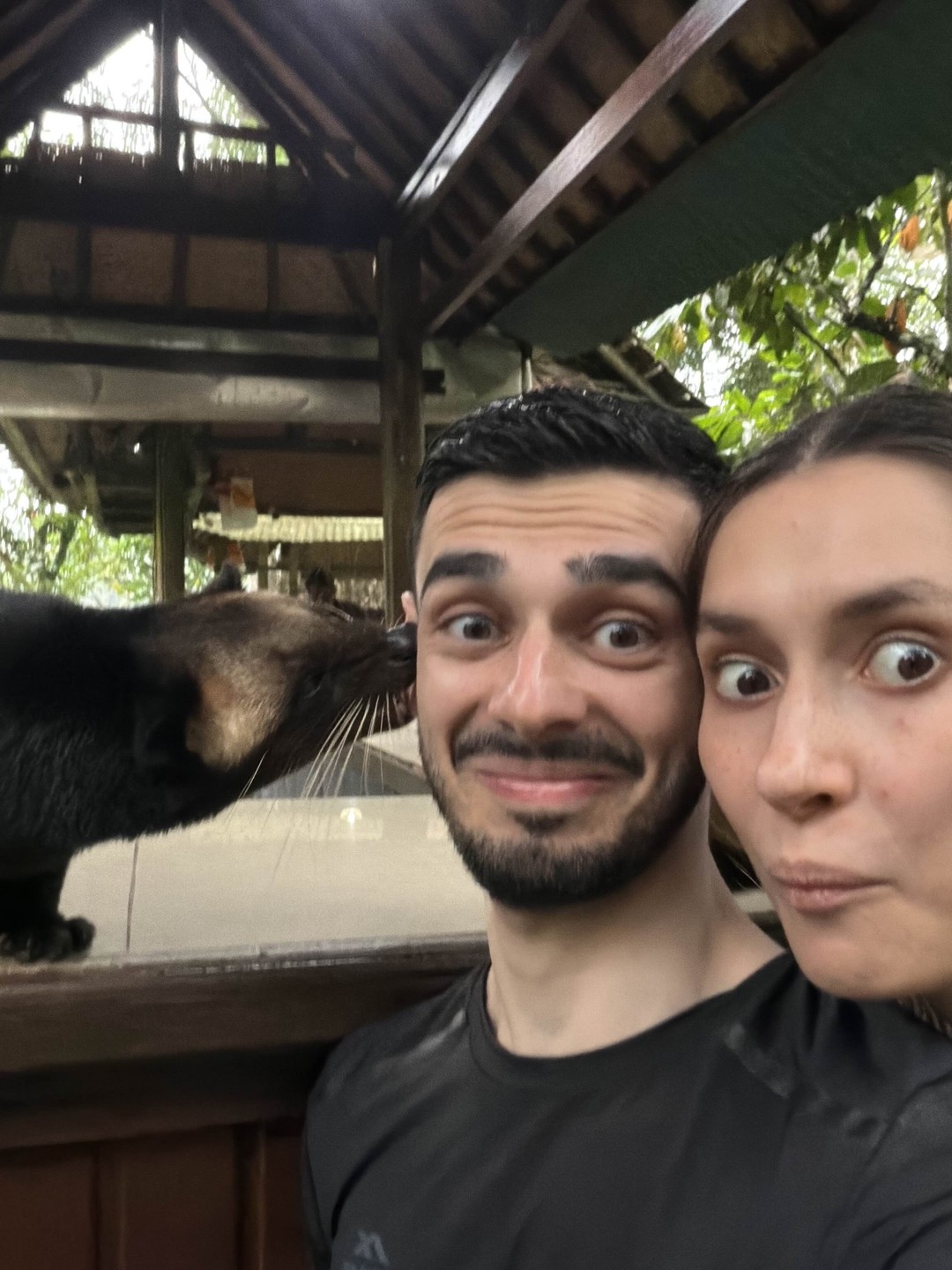 Все четко! Получили массу впечатлений несмотря на ливень. Обезьяны стащили только пакет к орешками и бананами