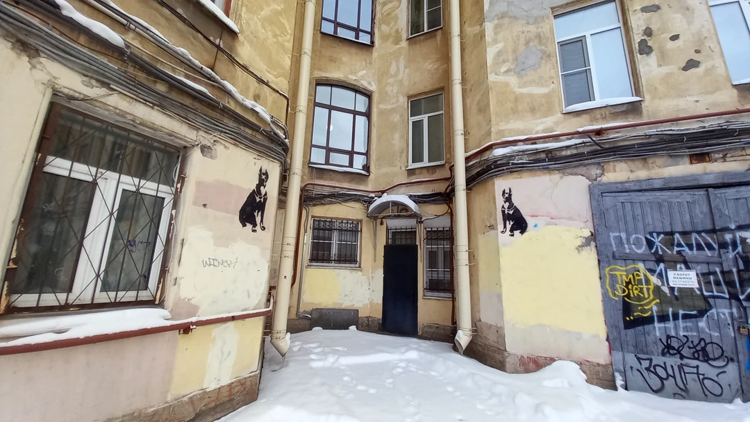 Секреты и лабиринты Петроградской стороны: дворы, парадные, легенды (Таиса)