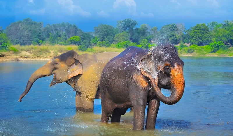 Шаг за шагом по Непалу: лёгкие треккинги, сафари в джунглях и водные прогулки