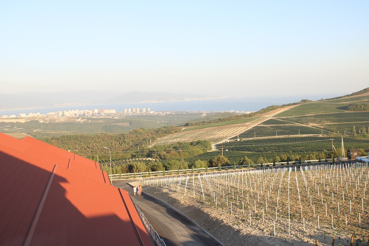 Фото Шато Пино и русская Швейцария