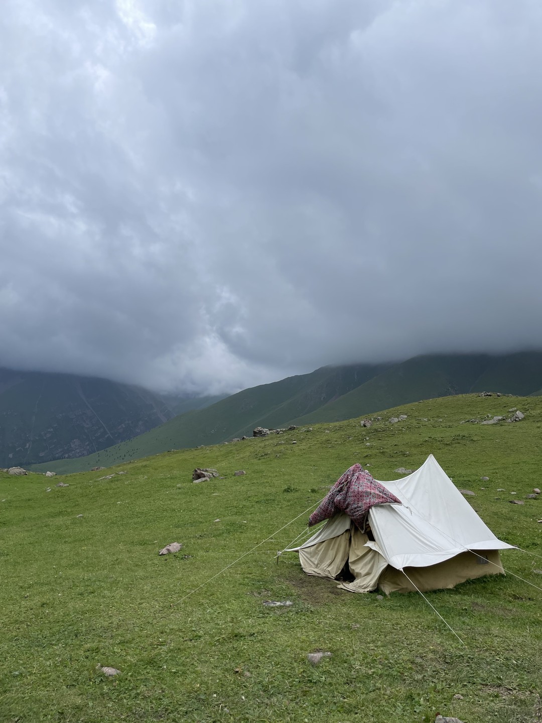 Очень очень понравилась экскурсия, потрясающие виды, горы просто невероятные, настоящие Альпийские луга. Юрий большой профессионал своего