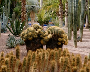 Сад Мажорель, дворец Бахия