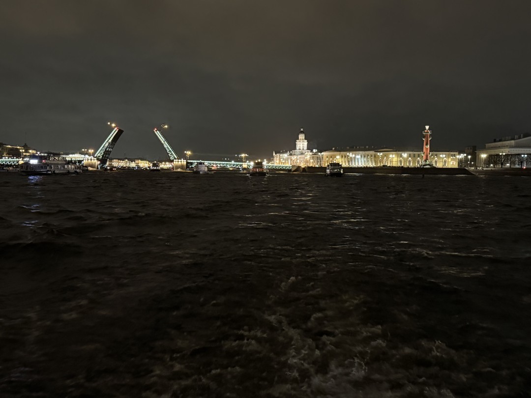 Ночная теплоходная прогулка на разведение мостов с живой музыкой (Анна)