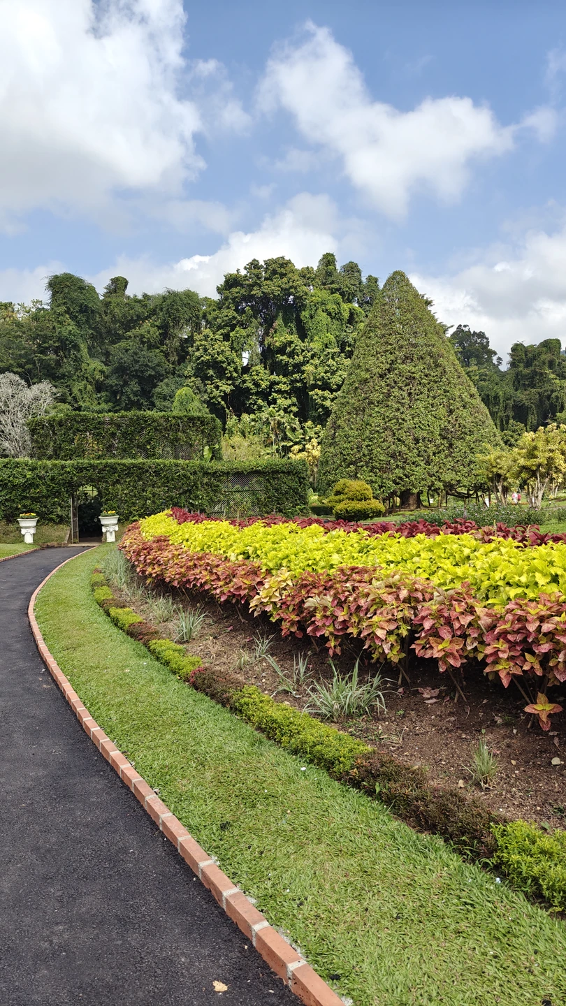 Задача была найти гида для путешествия в составе семьи из трёх человек на три дня. Гид